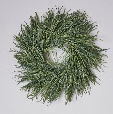 Highland Dunes Sea Grass 20" Wreath & Reviews | Wayfair